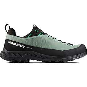 Mammut Alnasca IV Low GTX (Herre)