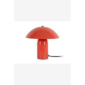 Leitmotiv Astuto (H23.5CM)