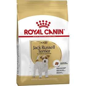 Royal Canin BHN Jack Russell 1.5kg