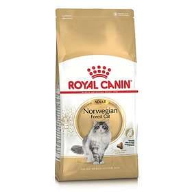 Royal Canin Breed Norwegian Forest Cat 2kg