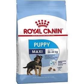 Royal Canin SHN Maxi Puppy 4kg