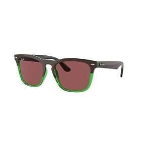 Ray-Ban RB4487 Steve